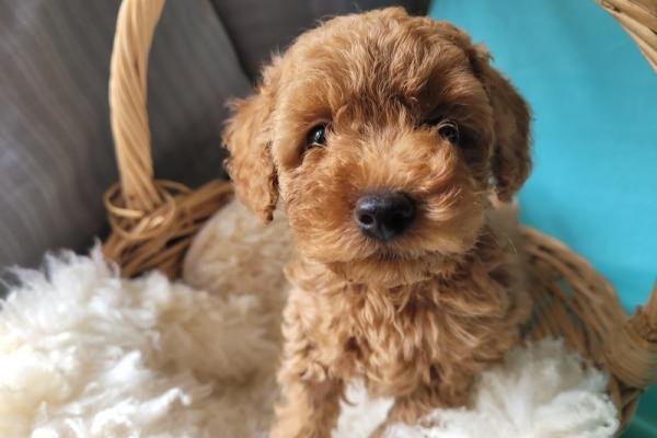 Ein Blick, der verzaubert